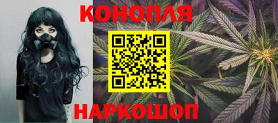гидра Кингисепп