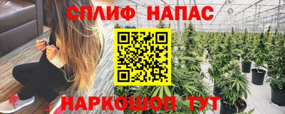 гидра Кингисепп