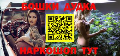 гидра Кингисепп