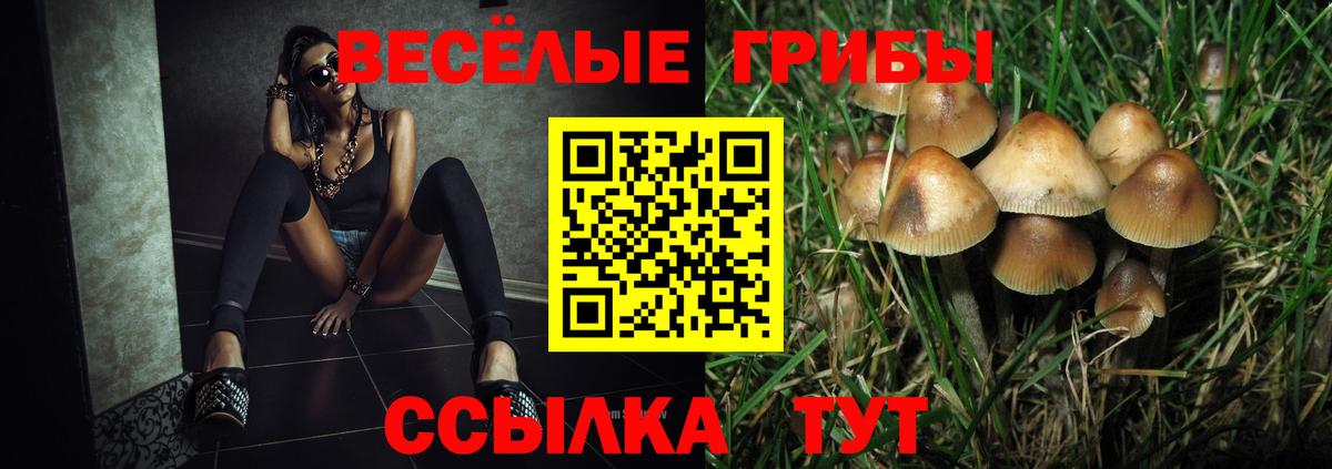 Зима  Галлюциногенные грибы ЛСД  Вход с VPN 